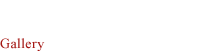 ギャラリー